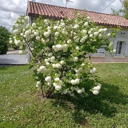 Coquette Maison Ferienhaus