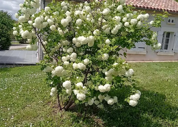 Coquette Maison Hébergement de vacances